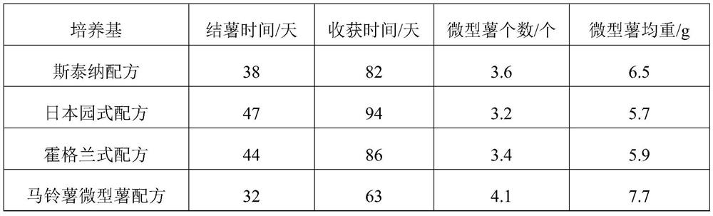 Method for quickly producing konjak tissue culture miniature potato in bottle