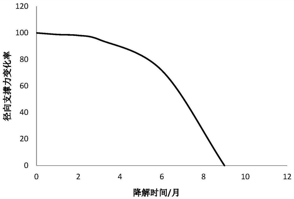 Biodegradable stent and preparation method thereof