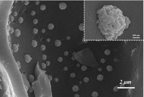 Bamboo-based porous carbon/manganese dioxide nano composite electrode material for super capacitor and preparation method thereof