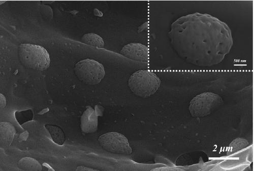 Bamboo-based porous carbon/manganese dioxide nano composite electrode material for super capacitor and preparation method thereof