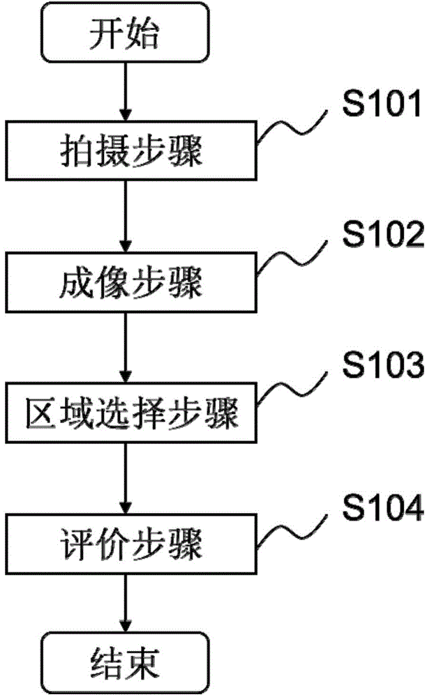 Skin evaluation method, skin care product or cosmetic recommendation method