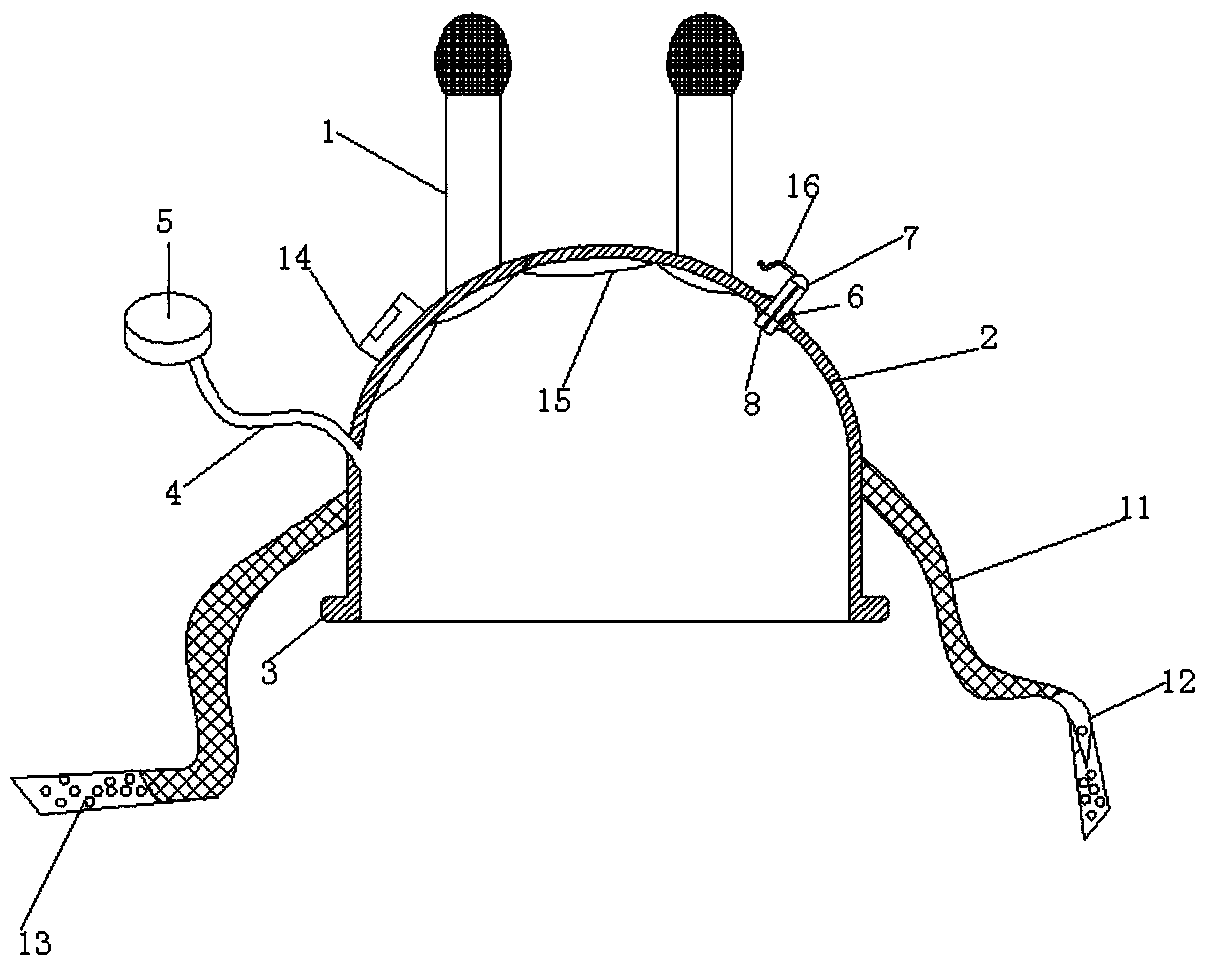 Cardiopulmonary resuscitation auxiliary apparatus