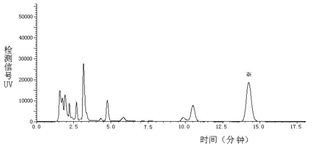 Method for extracting and separating cordycepin