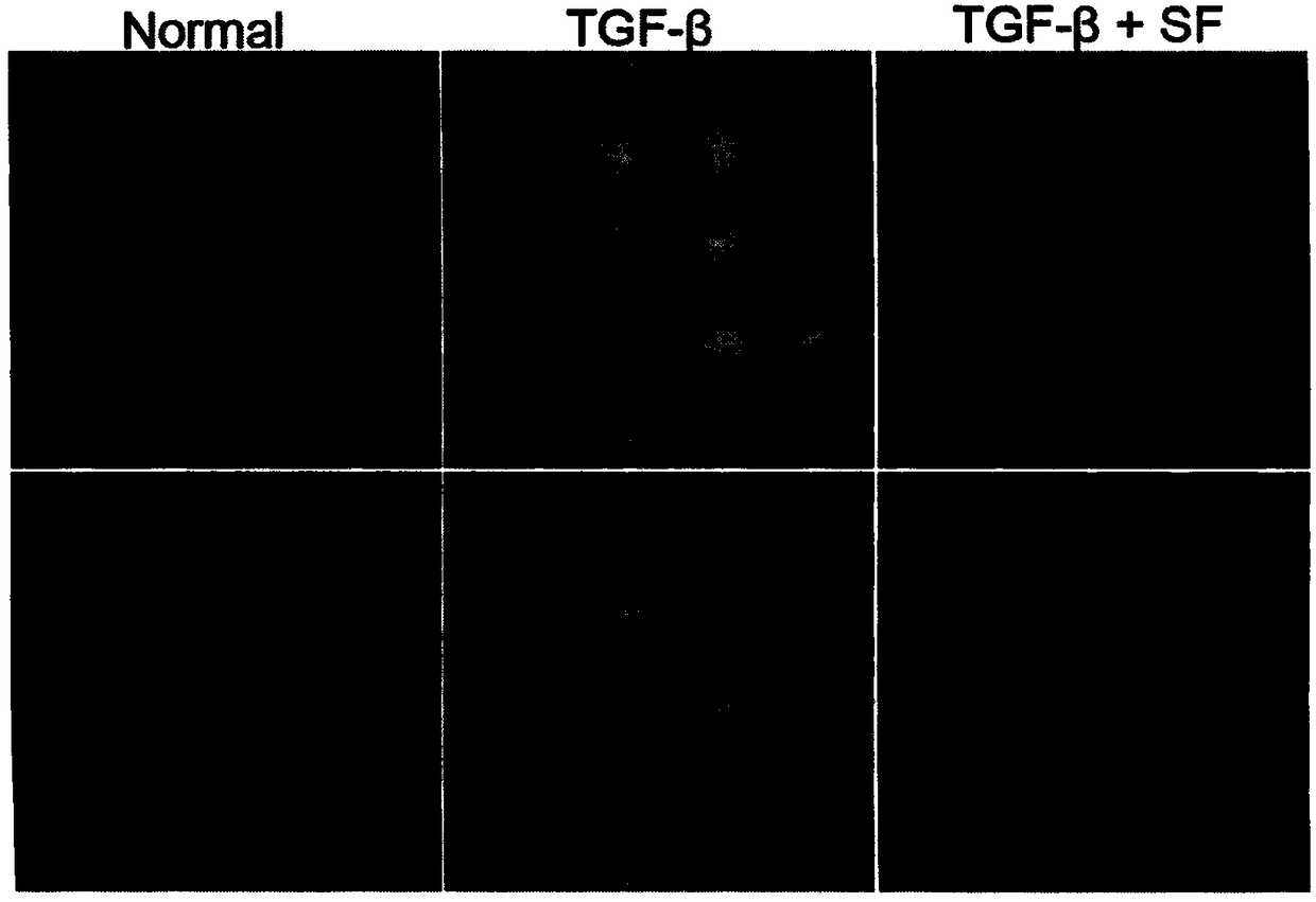 A kind of formononetin derivative, preparation method and use thereof