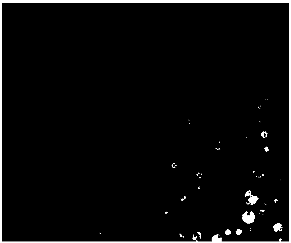 Novel non-hydrogenated vegetable cream and preparation method thereof