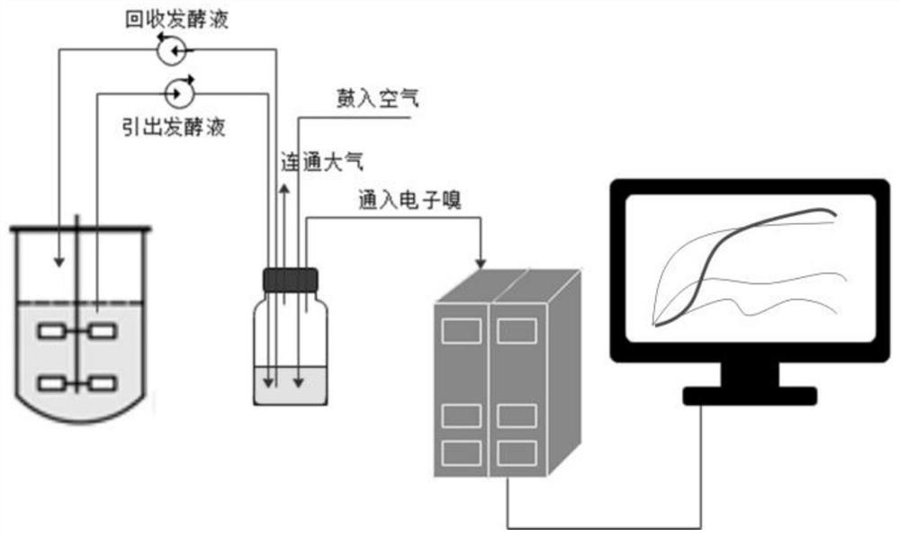 Method for producing ethanol by glucose fed-batch fermentation based on online ethanol concentration response value monitoring