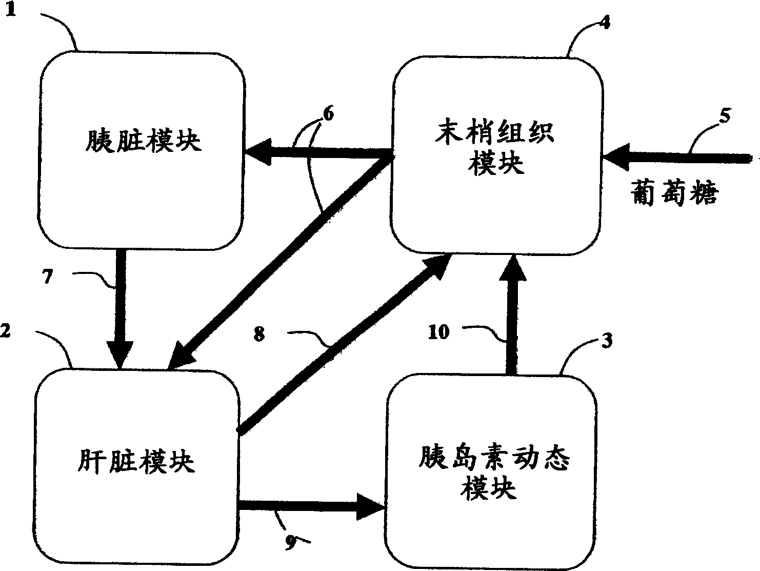 Simulation system for simulating material concentration in a living body and storage medium