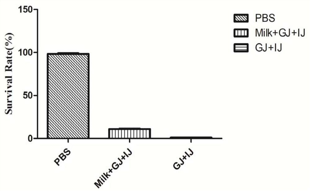 A kind of Lactobacillus reuteri, microbial agent and food product