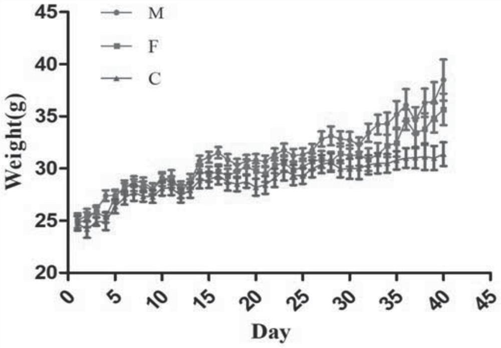 A kind of Lactobacillus reuteri, microbial agent and food product