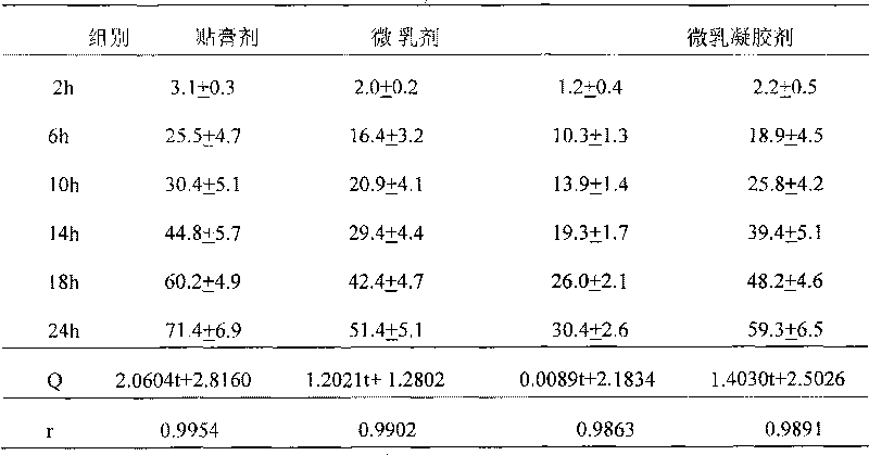 Raloxifene emplastrum preparation and preparation method thereof