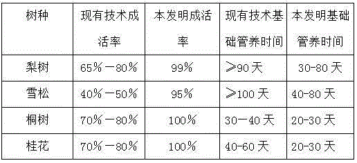 Root promoting seedling culturing method for woody plants