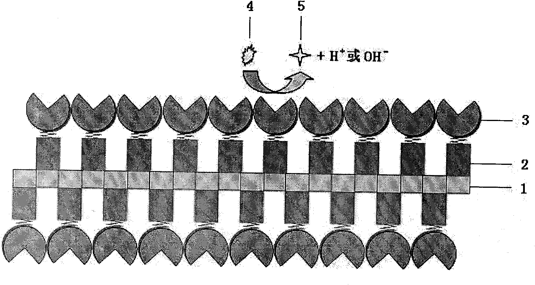 Nanometer molecular biosensor, preparation method and application thereof