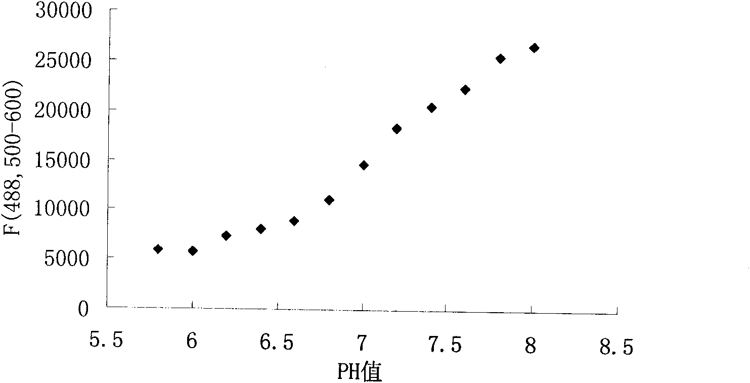 Nanometer molecular biosensor, preparation method and application thereof