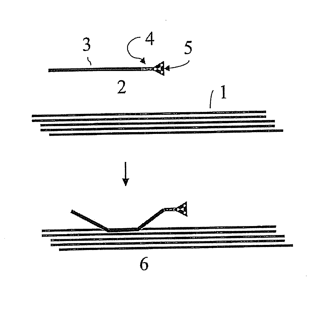 Implantable material comprising cellulose and the glycopeptide xyloglucan-grgds