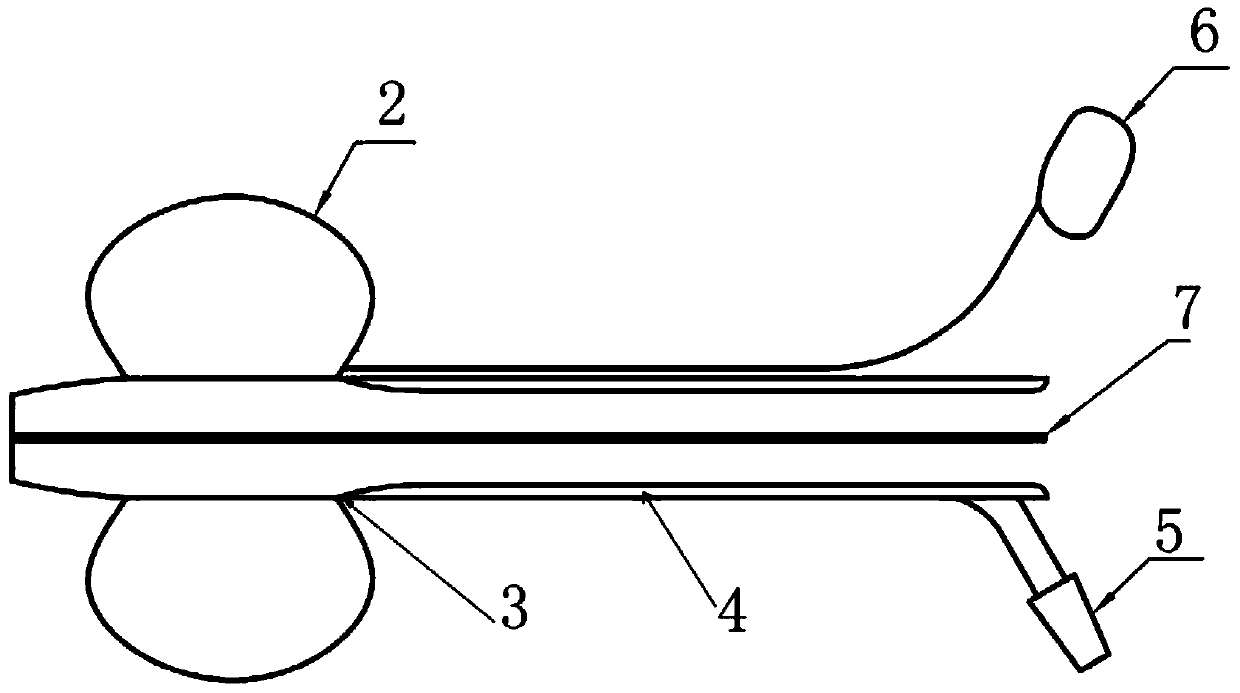 Air bag arterial cannula with suction function