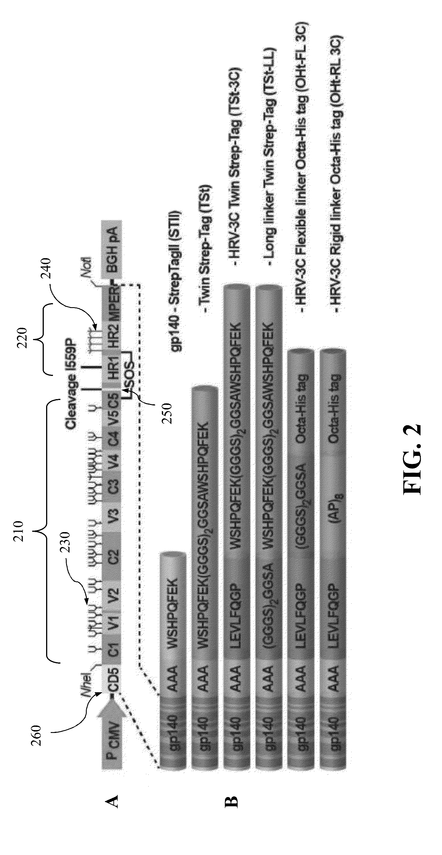 Approach to produce hiv-1 gp140 envelope protein trimers