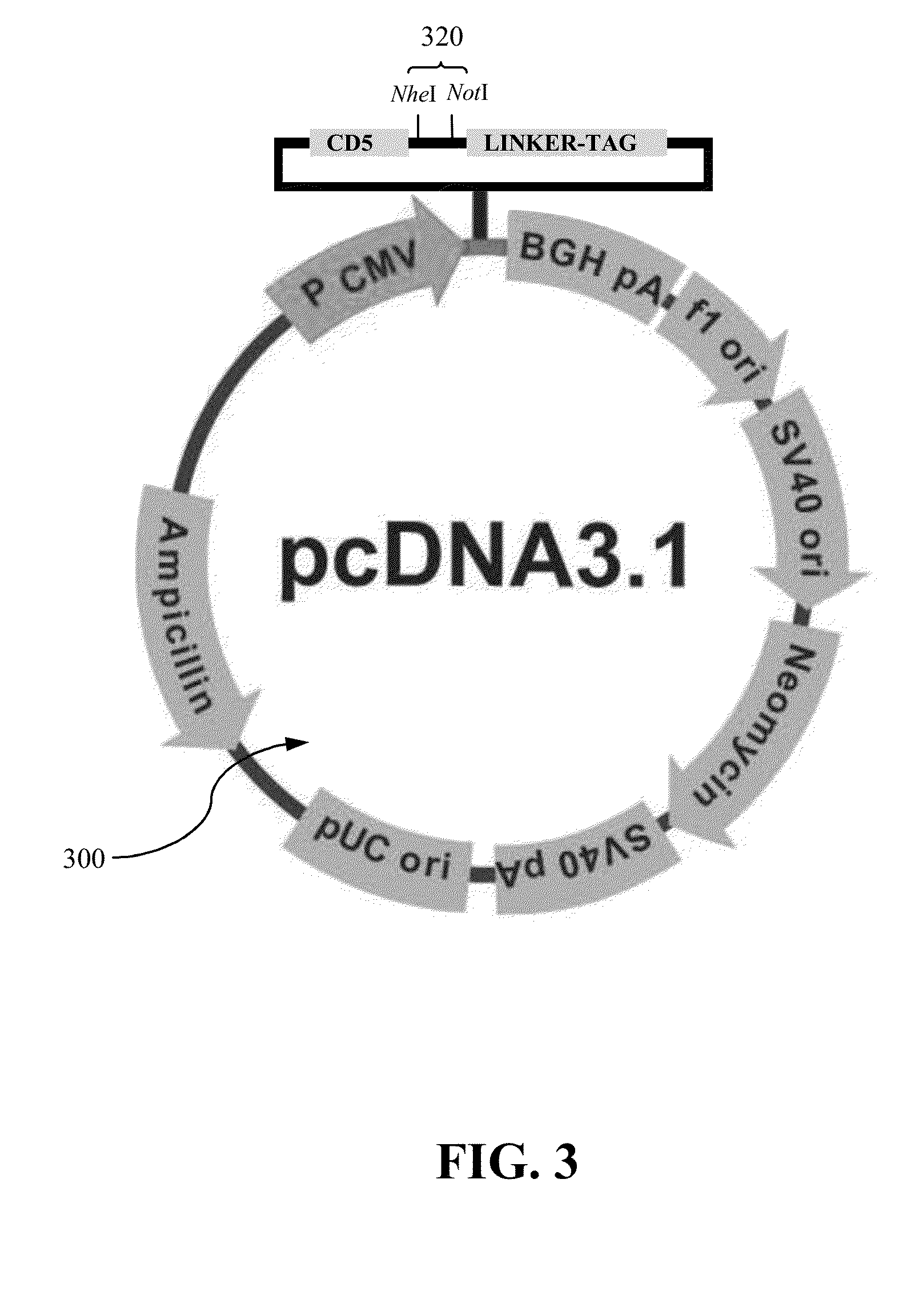 Approach to produce hiv-1 gp140 envelope protein trimers