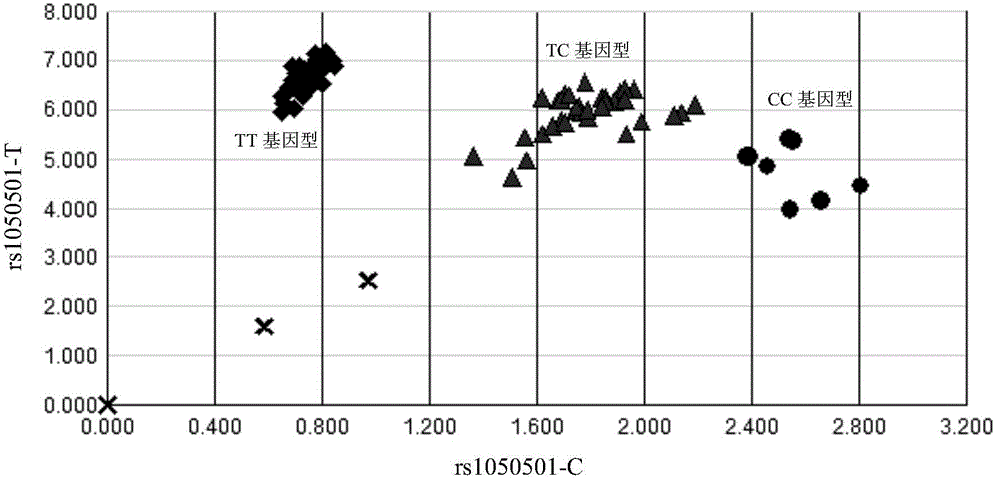 Rheumatoid-arthritis-related single-gene single nucleotide polymorphism site and application thereof