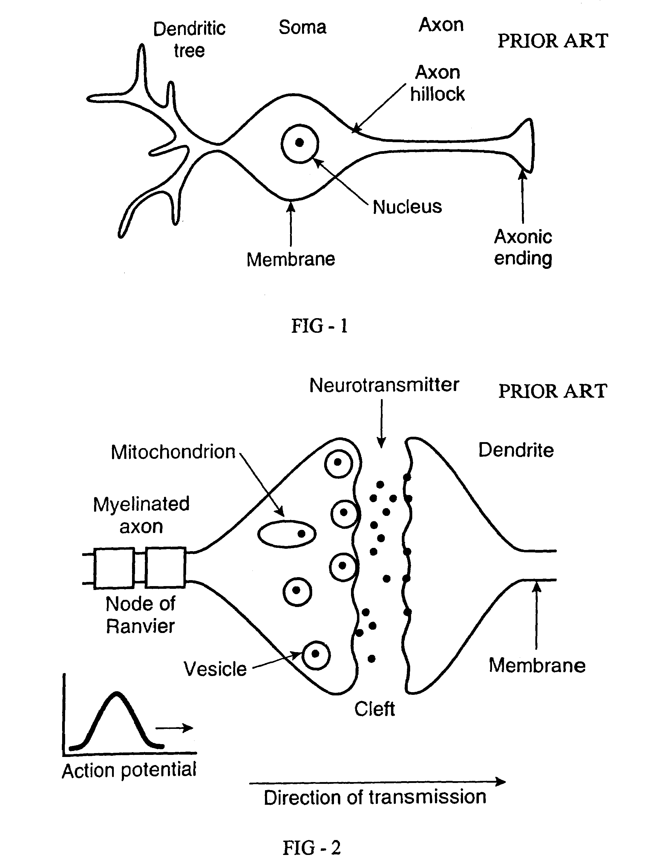 Analog neurons and neurosynaptic networks