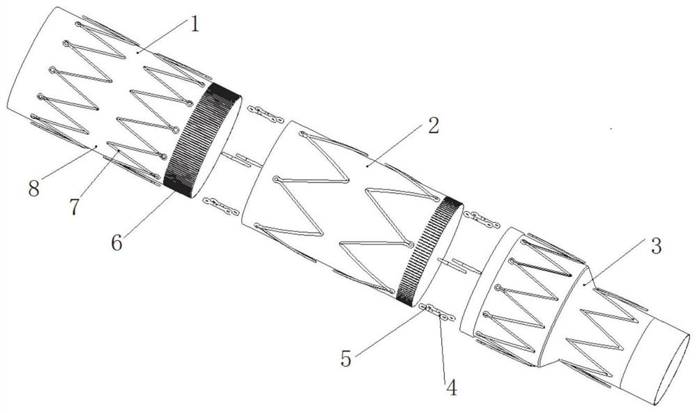 An assembled aortic stent system