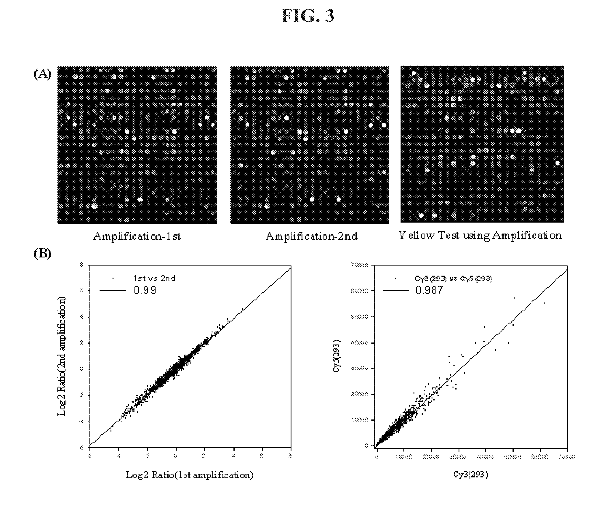 Linear amplification of RNA