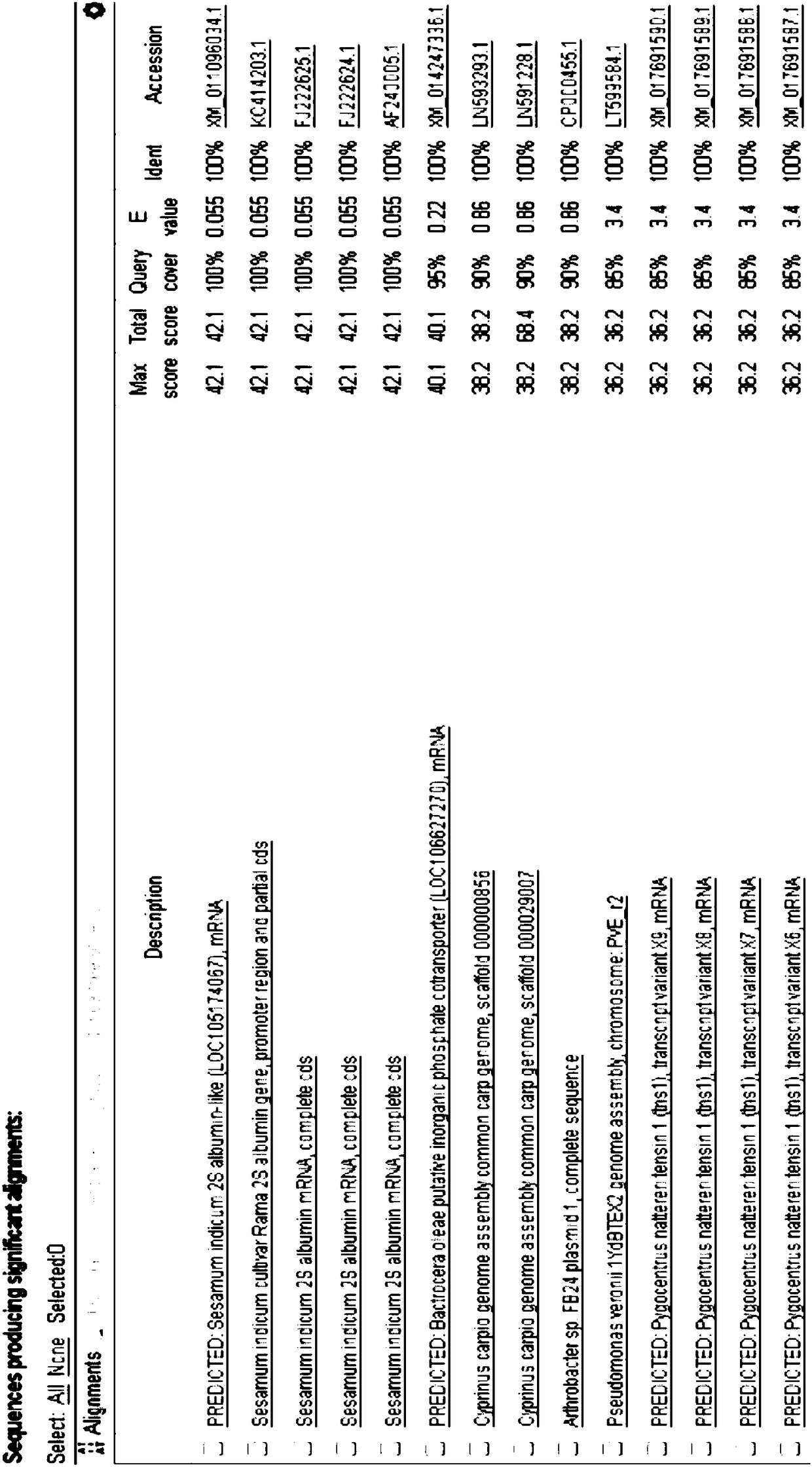 Specific primer and probe for detecting sesame DNA and real-time fluorescent quantitative PCR kit