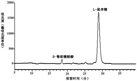 Green algae polysaccharide and preparation method thereof