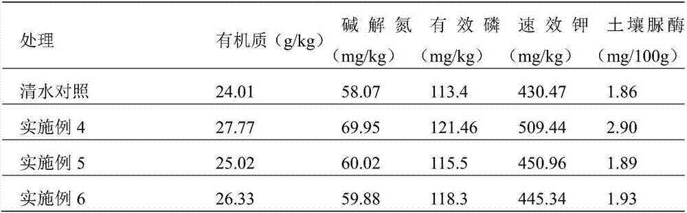 Soil biological activator and preparation method thereof