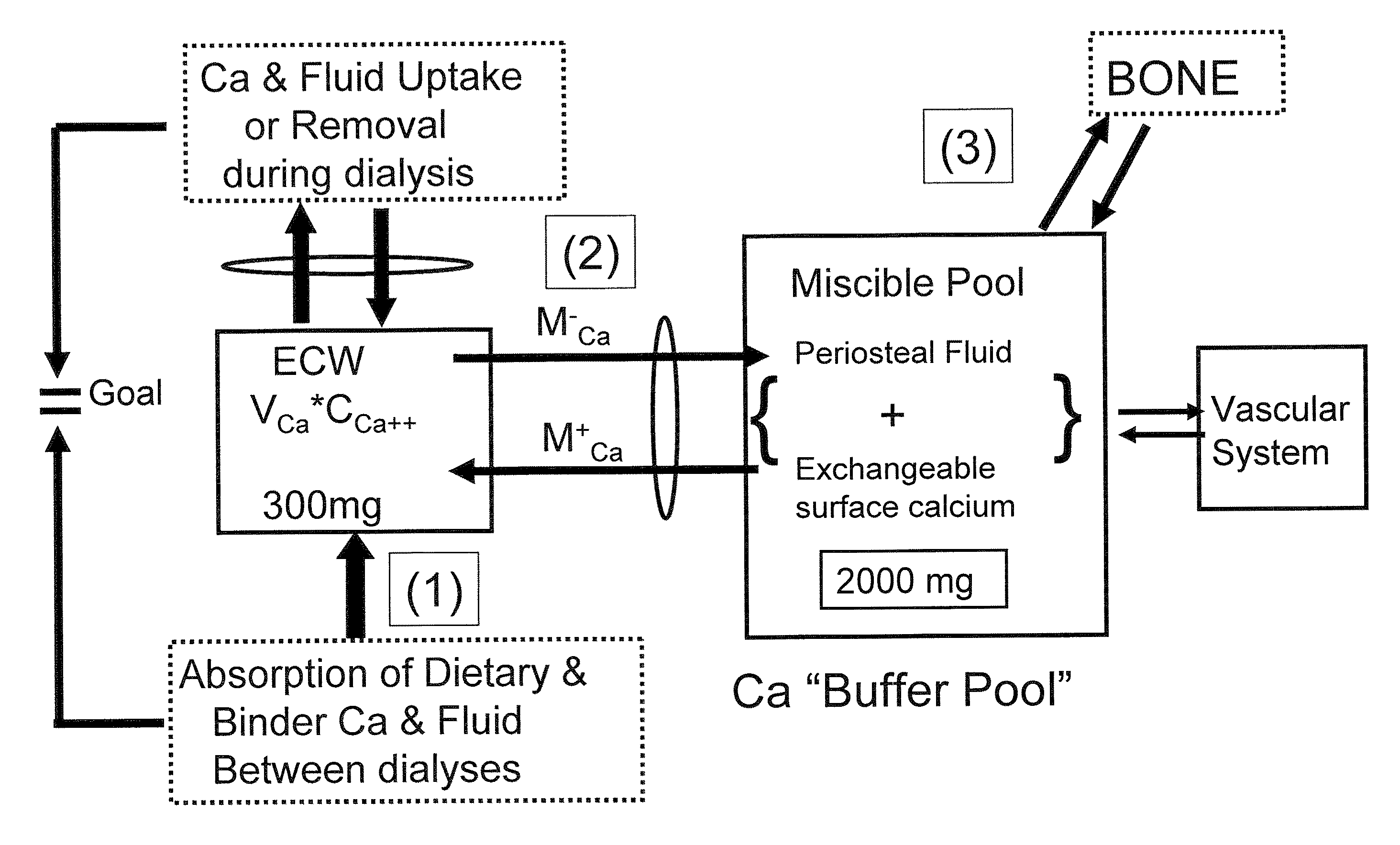 Method of determining a phosphorus binder dosage for a dialysis patient