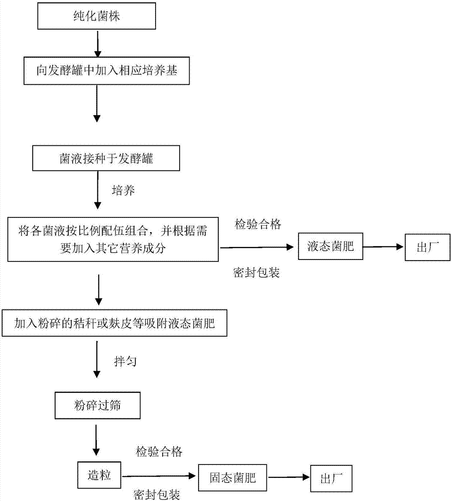 Efficient multi-functional compound bacterial fertilizer capable of quickly decomposing straws and preparation method of efficient multi-functional compound bacterial fertilizer