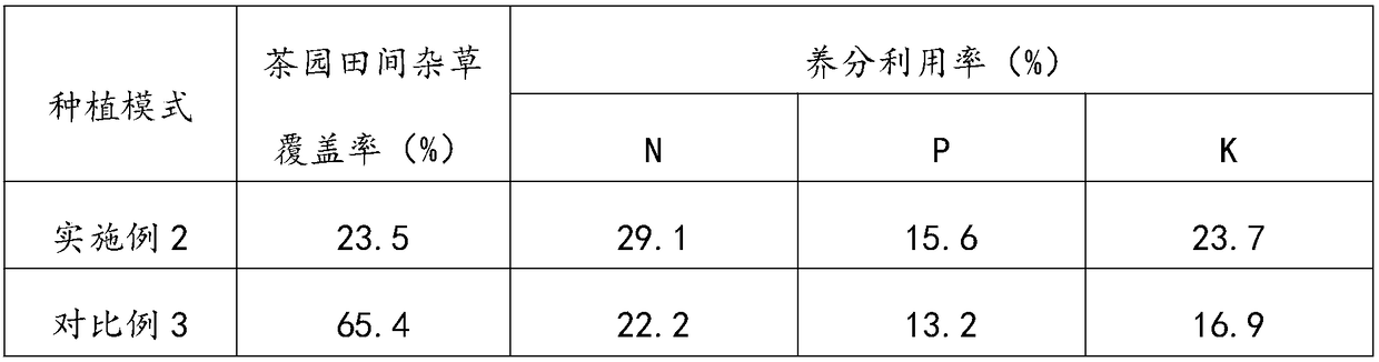 Compound planting method of ecological tea garden