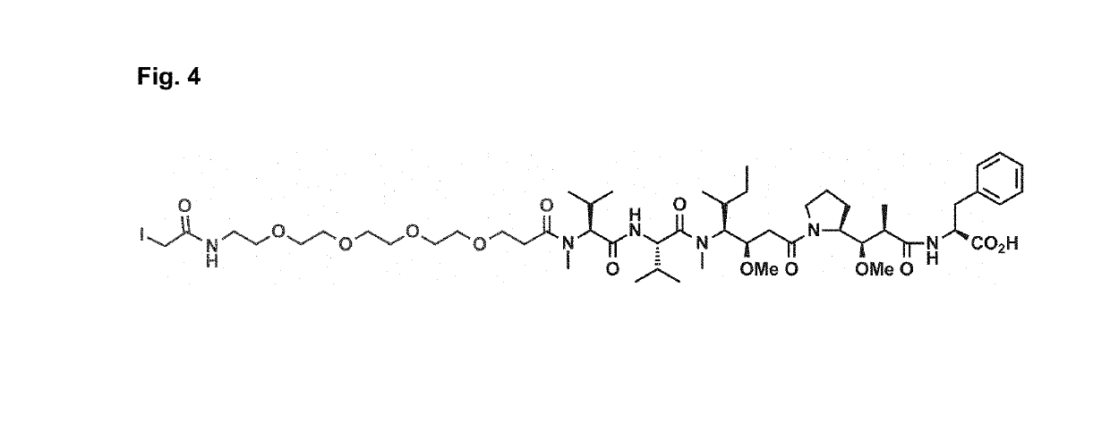 Targeting with firbronectin type iii like domain molecules