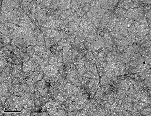 Method for preparing graded nano-crystalline cellulose from ramie raw material