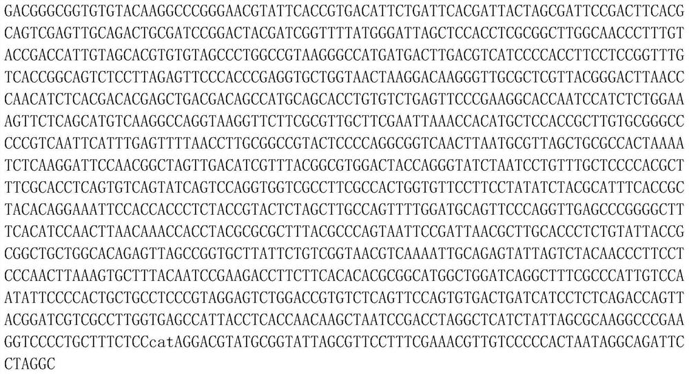 Indigenous high-efficiency denitrification strains of Pseudomonas fulva K3 and Pseudomonas mosselii K17 in soil of rare earth leaching site and application of strains