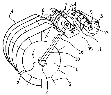 Screw conveyer for pullout seedling roots of shallow-mud field water chestnuts