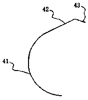 Screw conveyer for pullout seedling roots of shallow-mud field water chestnuts