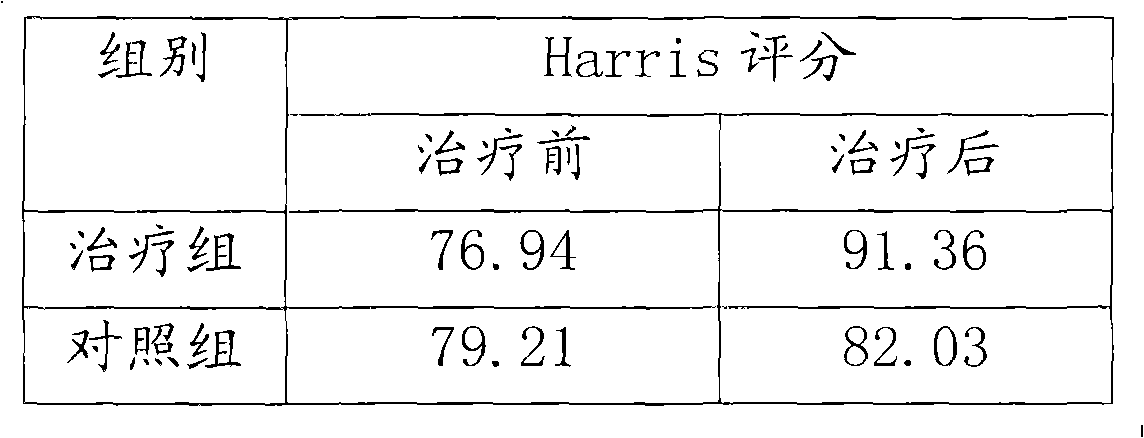 Chinese medicinal plaster for treating alcohol-induced osteonecrosis, and preparation method and application thereof