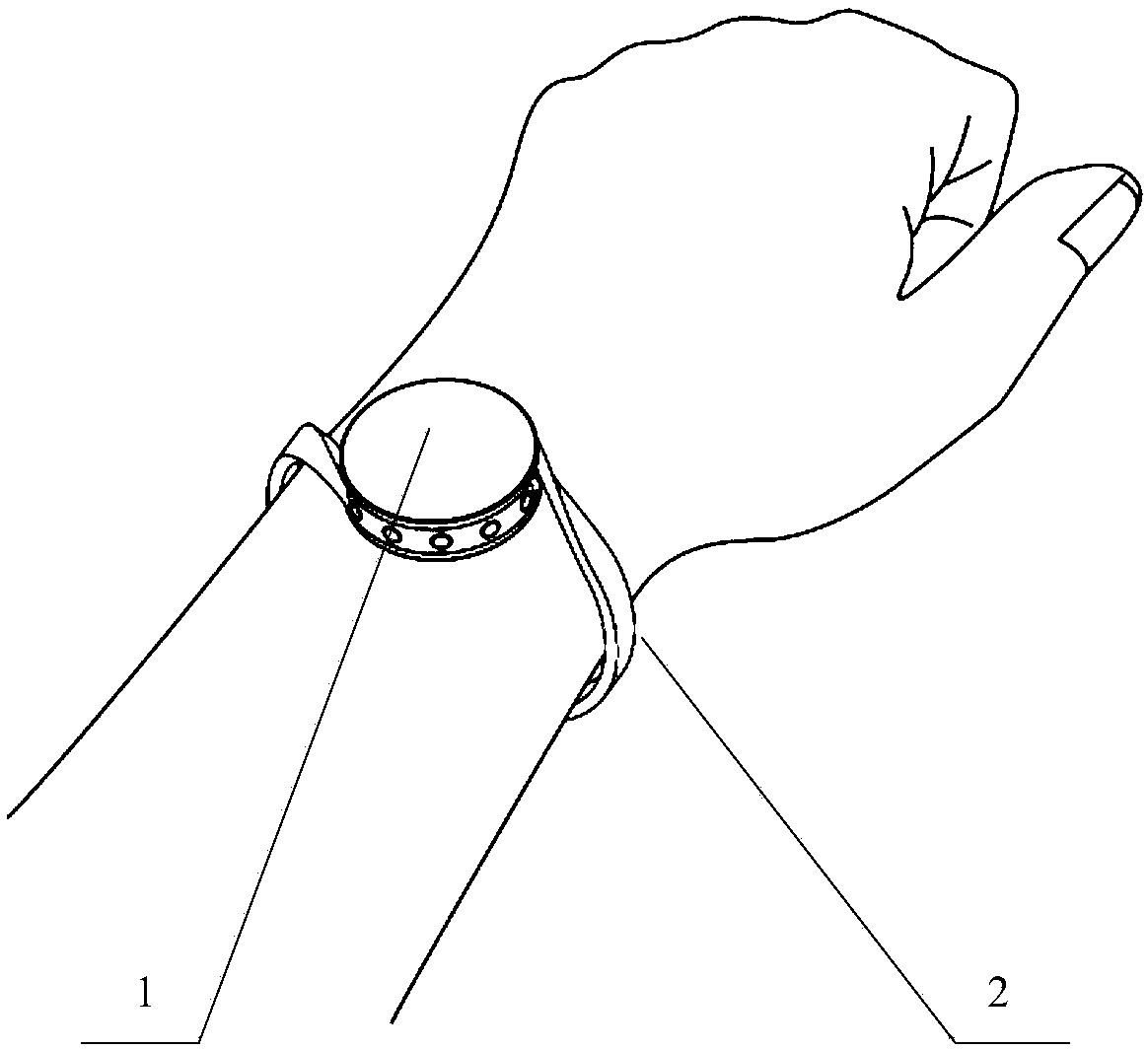 Wrist wearing device