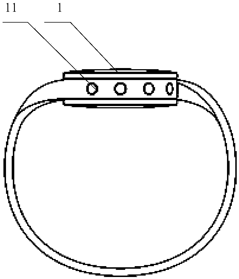 Wrist wearing device