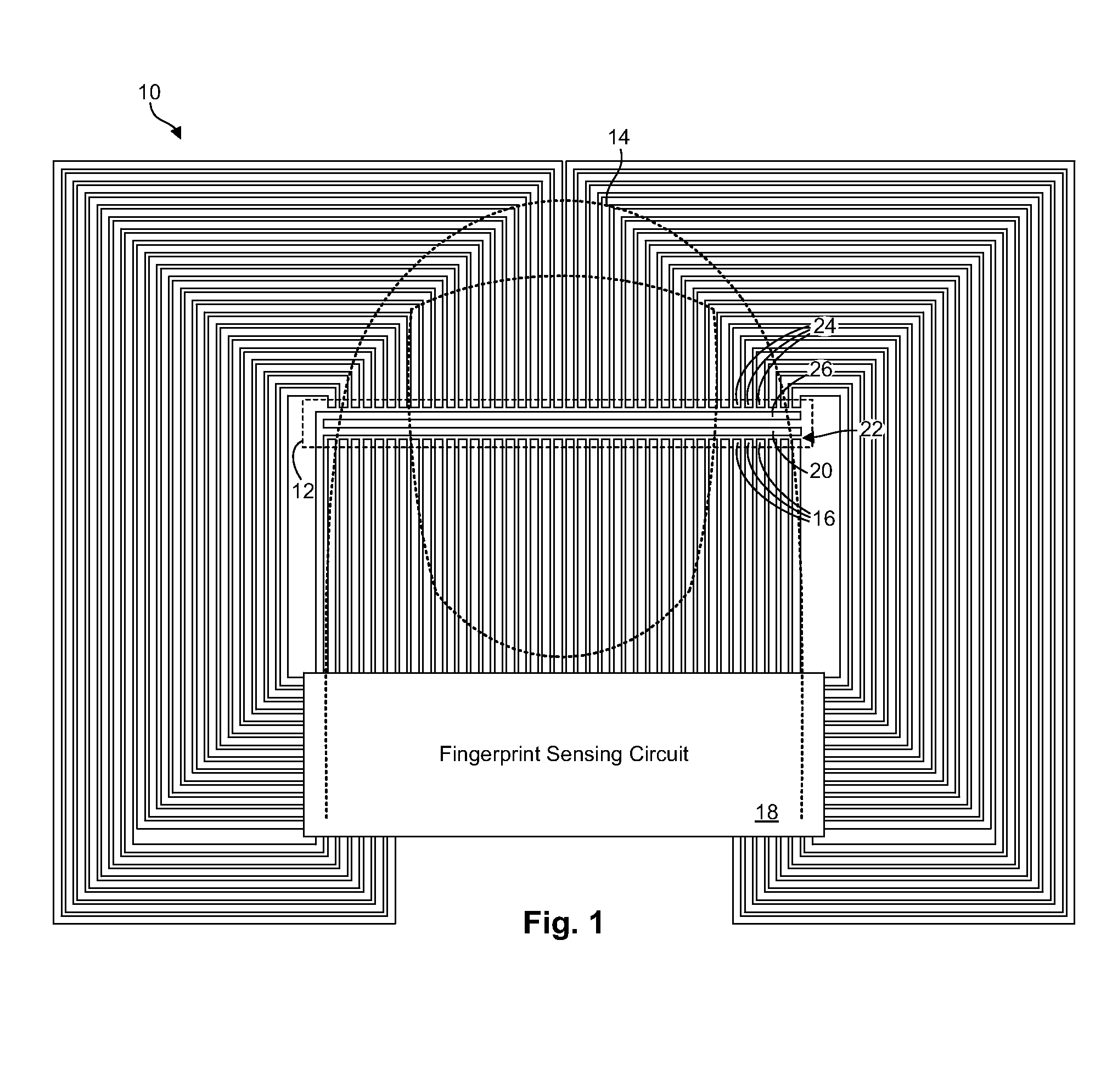 Fingerprint sensing circuit having programmable sensing patterns