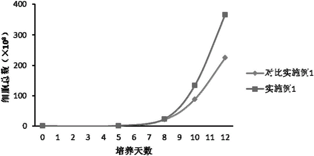 Fusion protein for NKT (natural killer T) cell culture, encoding gene and application