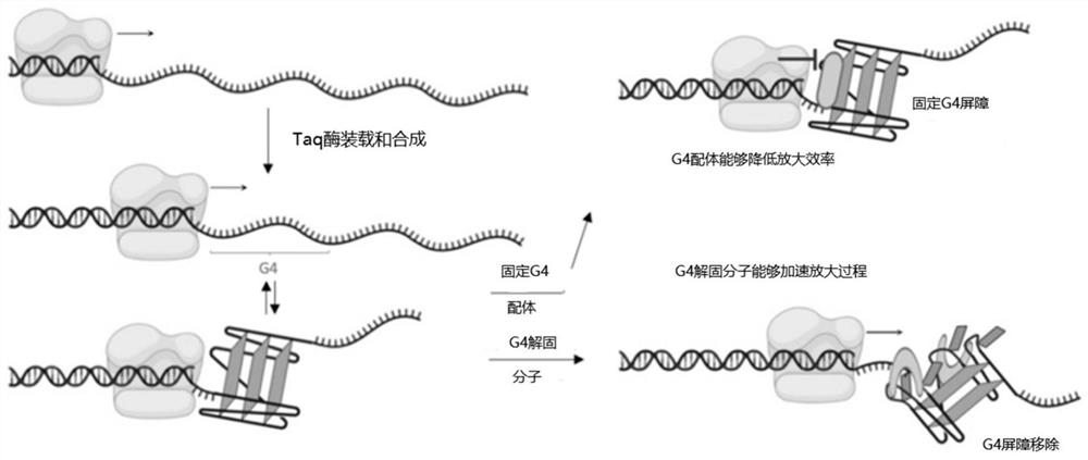 Amino steroid compound as well as preparation method and application thereof