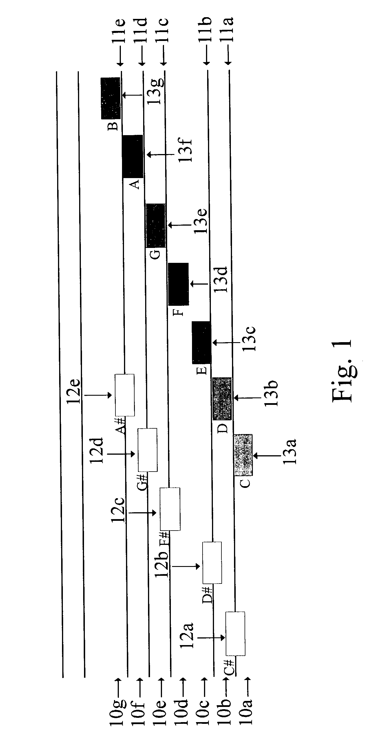 Graphic color music notation for students