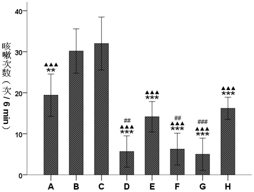 Asarum total volatile oil extract and its extraction method and its application in the preparation of medicine for treating chronic cough