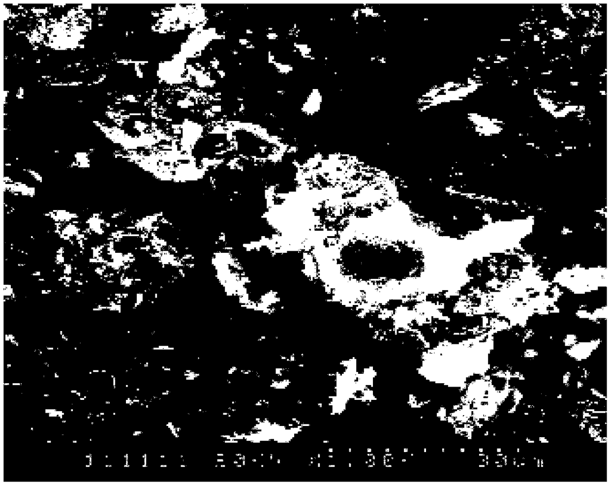 Preparation method of ceftriaxone sodium spherical crystals