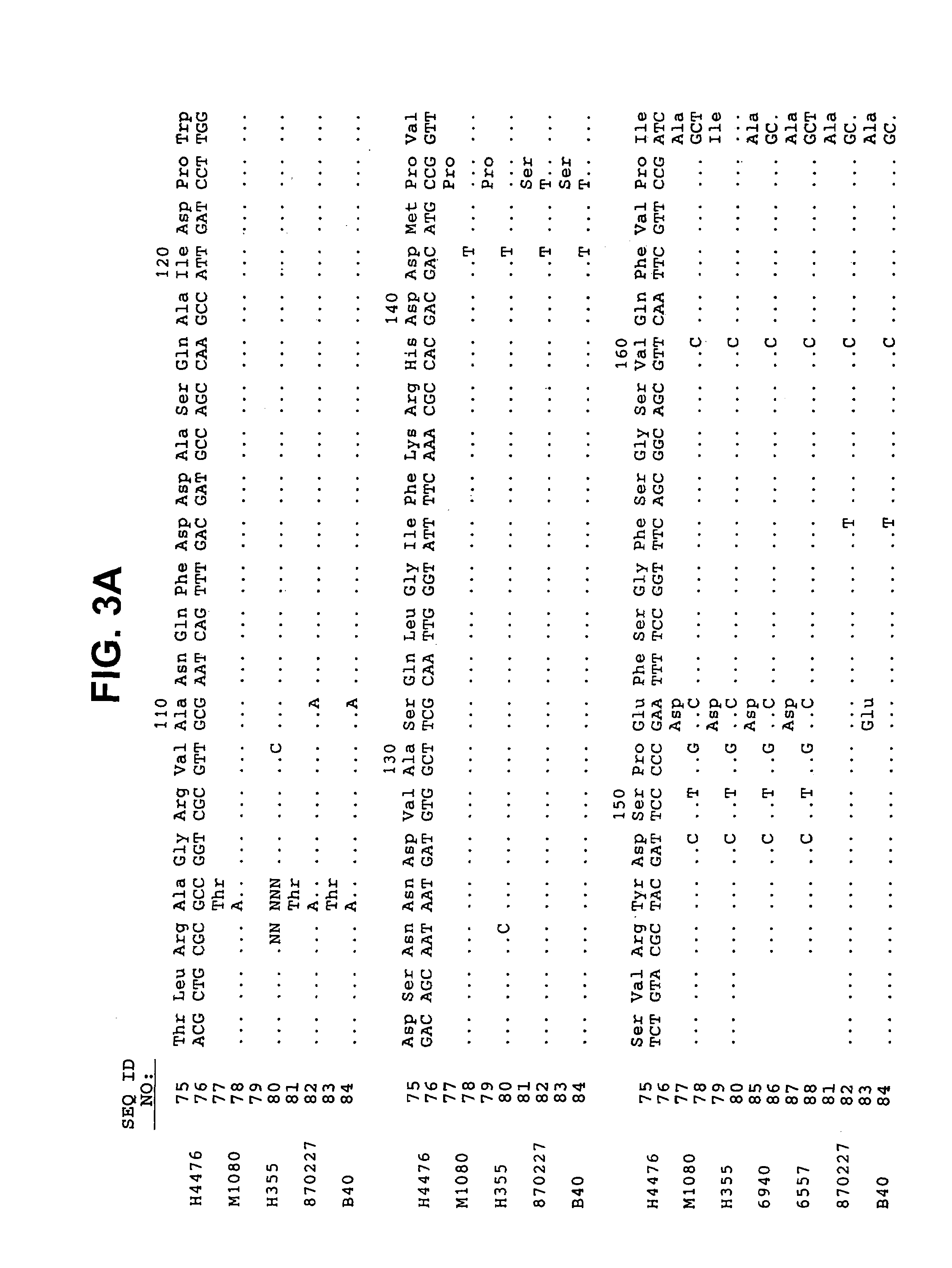 Recombinant microorganism expressing meningococcal class 1 outer membrane protein