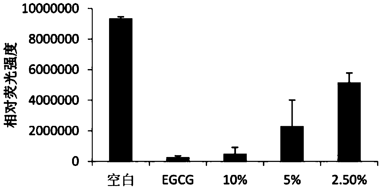 Rice rose fermentation primary pulp and preparation method and application thereof