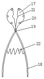 Red date pitting machine for walnut-containing dates