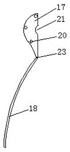 Red date pitting machine for walnut-containing dates