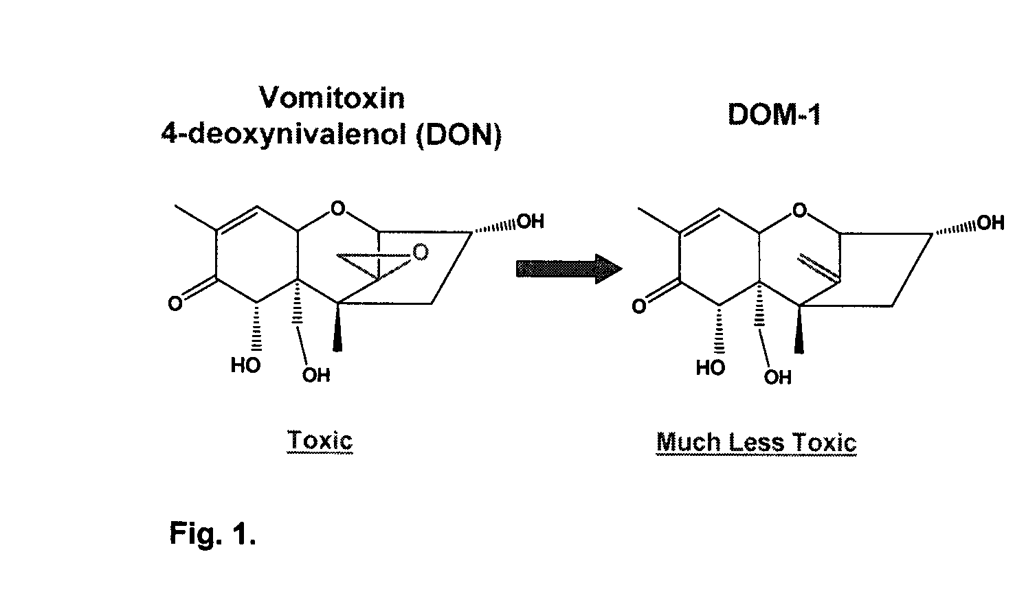 Bacterial isolate and methods for detoxification of trichothecene mycotoxins